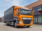 DAF CF 310 4x2 FA Sleeper Cab 2013 года